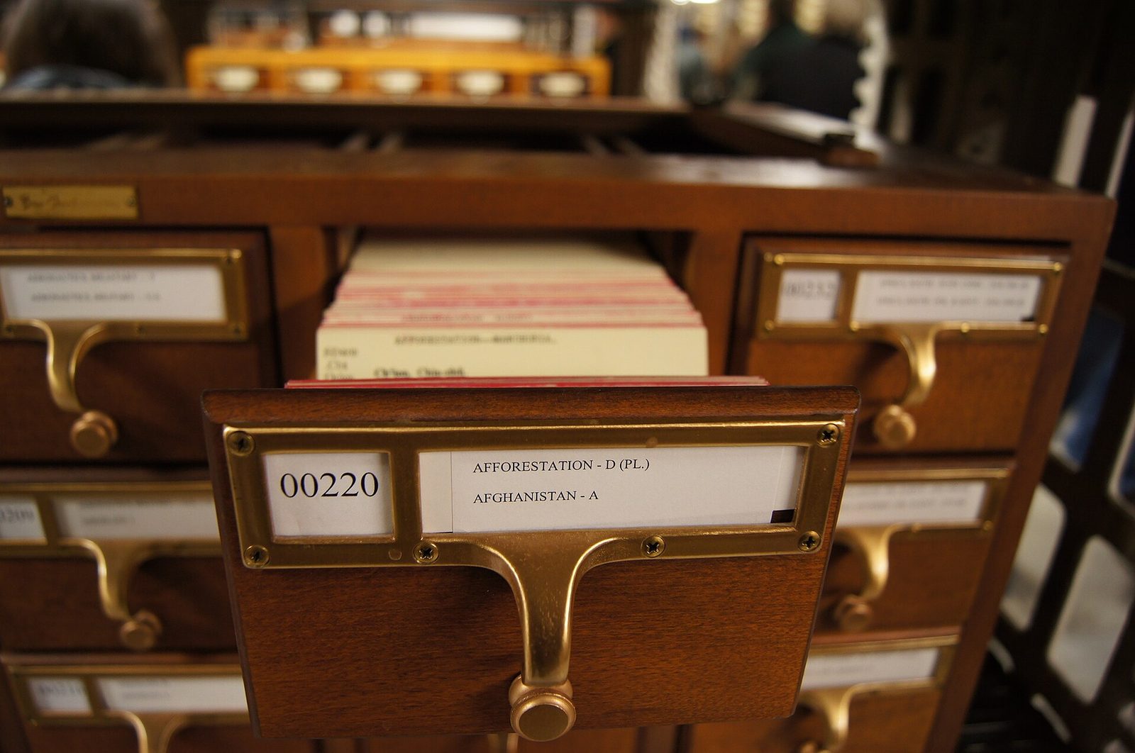 Wooden library card catalog drawer pulled open to show index cards